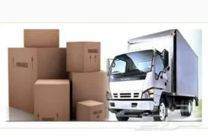 دينا نقل عفش